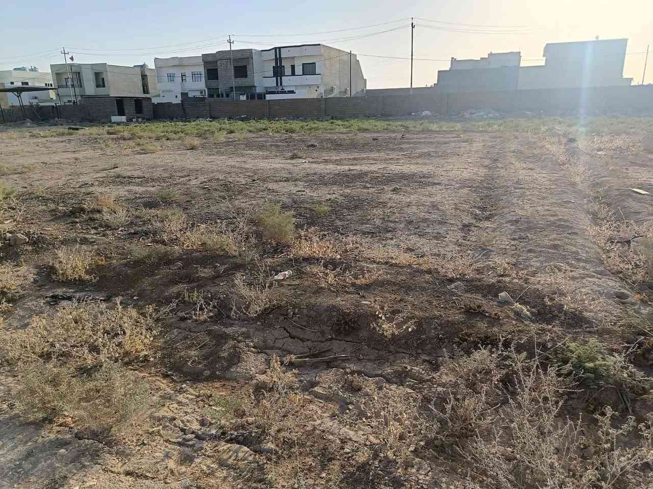 مساحة 250 بتجاه الشروق  واجهة 12.5 عمق 20 ، زراعي سند 25  ، الموقع : خلف قاعة الاميرات ، متوفر ماء وكهرباء  
السعر 17 وبي مجال
*********** ‭

‭٠٧٧٦ ٩٥٦ ٩٣٥٩‬
