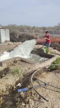 مكينة افيكو • نضيفه • قضاء الإصلاح