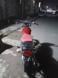 موديل ٢٠٢١ • أوراق أصلية • نجف كوفة