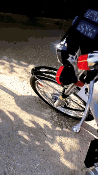 شلامجه 23 • كفاله عامه • معدل فول