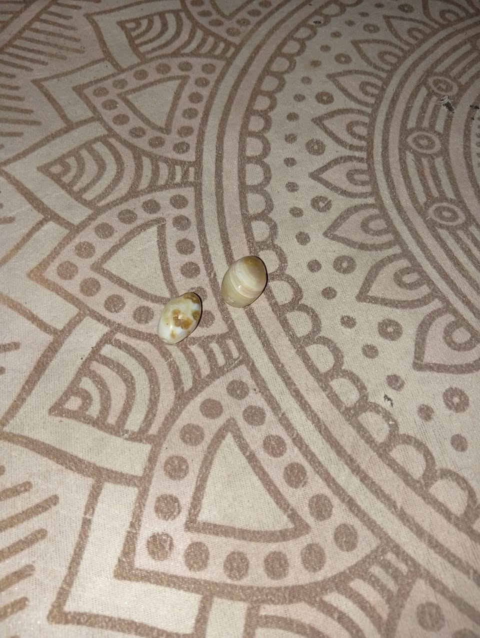 سلام عليكم شباب خرز اخوات سليماني اليريدهن يجي خاص


**إذا كنت صاحب هذا الإعلان وتريد حذفه لأي سبب، رجاءا أرسل رسالة إلى الدعم الفني**