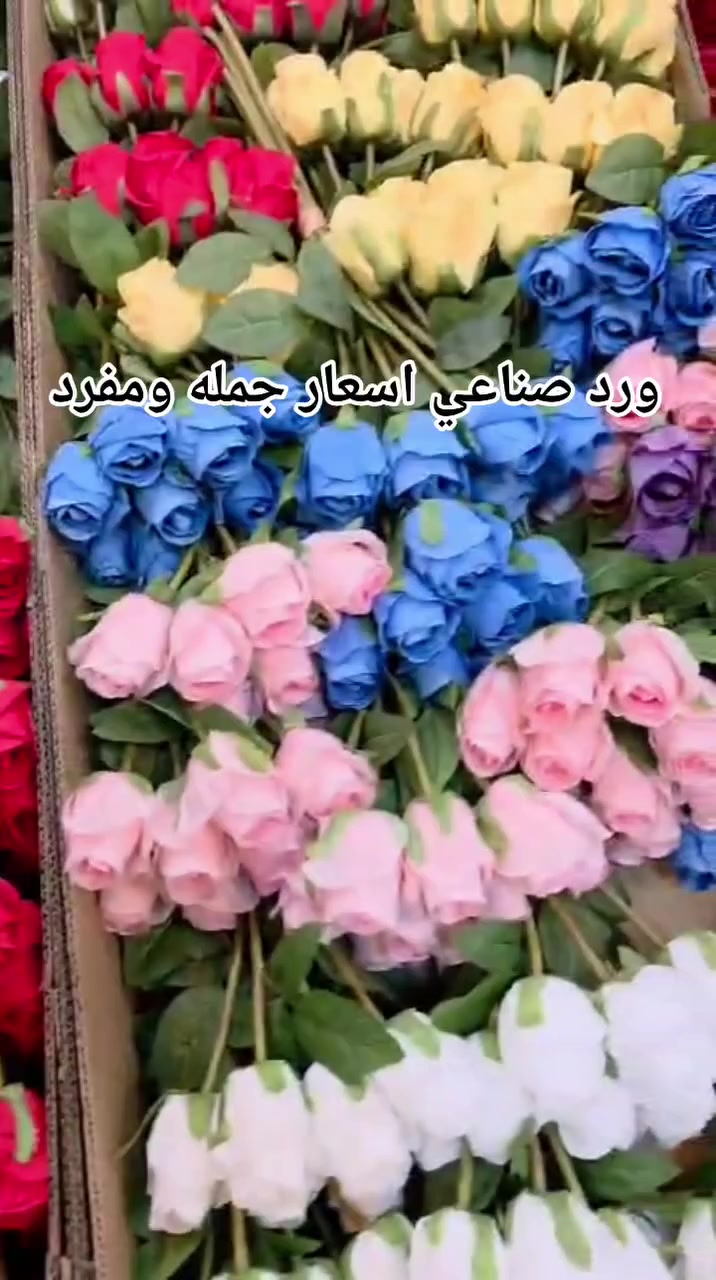 ورد صناعي اسعار جمله ومفرد


**إذا كنت صاحب هذا الإعلان وتريد حذفه لأي سبب، رجاءا أرسل رسالة إلى الدعم الفني**