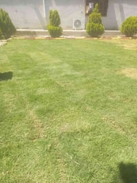 ترتيب حدائق • صبغ بيوت • أسعار مناسبة
