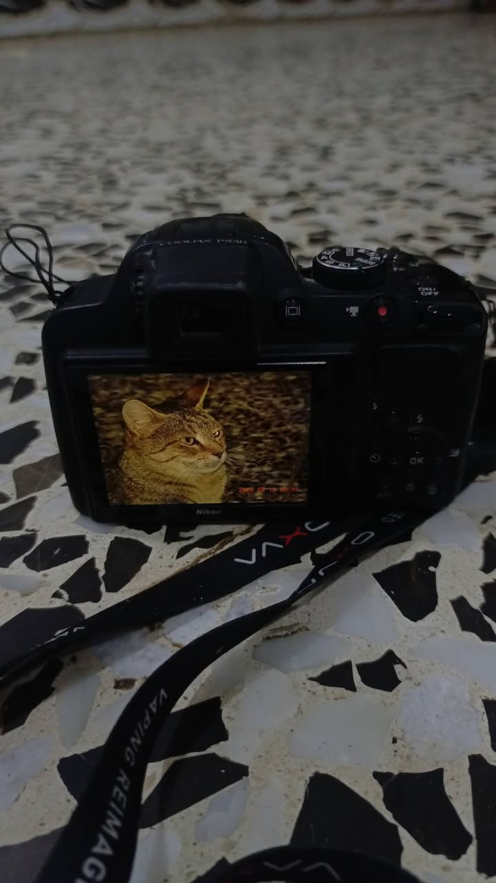 السلام عليكم كامره نيكون لبيع
نيكون42x

نضافه 90/100

شاحنه اصليه

رام 16كيكه الاصلي 

توصالت نقل 

ديوانيه مركز 

رقم واتساب 

***********
