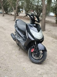 سكنس فحل • كابريتر • بالغزالية