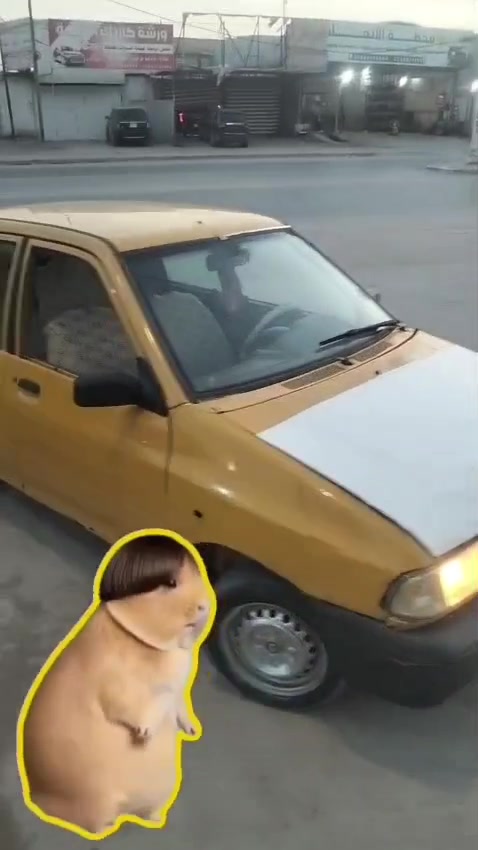 يا الله سايبه نضيفه محرك وكير حداديه  نضيفه تبريد عايز بس غاز سياره شوفت  عينك  مكفولات رقم احمر بدون راعي سنويه ضايعه بيهة كتاب من المرور قفل قفل قفل 4ورقات ***********بي واتساب