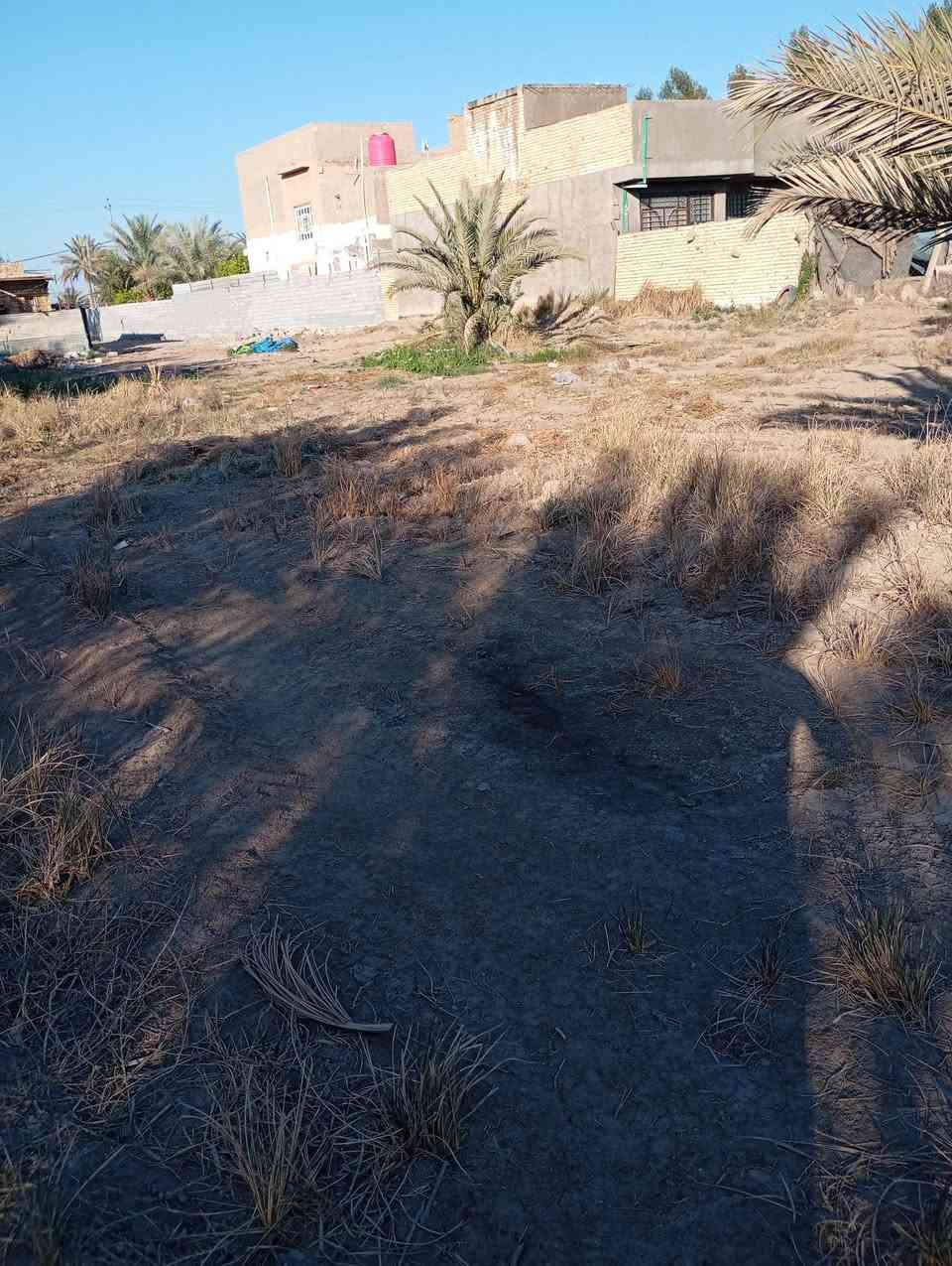 السلام عليكم قطعه ارض زراعيه للبيع دونم ونص العنوان بابل أبو غرق شارع العلويه شريفه  شارع الرسول ***********
