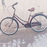 باسكل • حجم ٢٦ • حي الجهاد