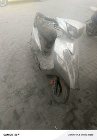 ثعلب • نقصه تجفيت • كامله غراضه