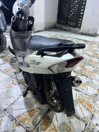 قجمه • ٤٩ • سلف