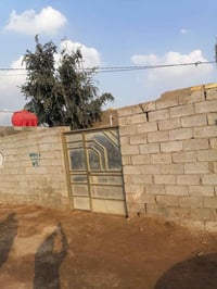 الديوانية • سند ٢٥ • ١٨٥م