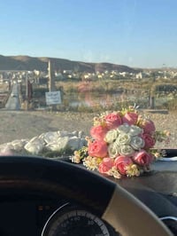 أسعد الله أوقاتكم بكل الخير باجر إن شاء الله طالع إلى تكريت وسامراء ال...