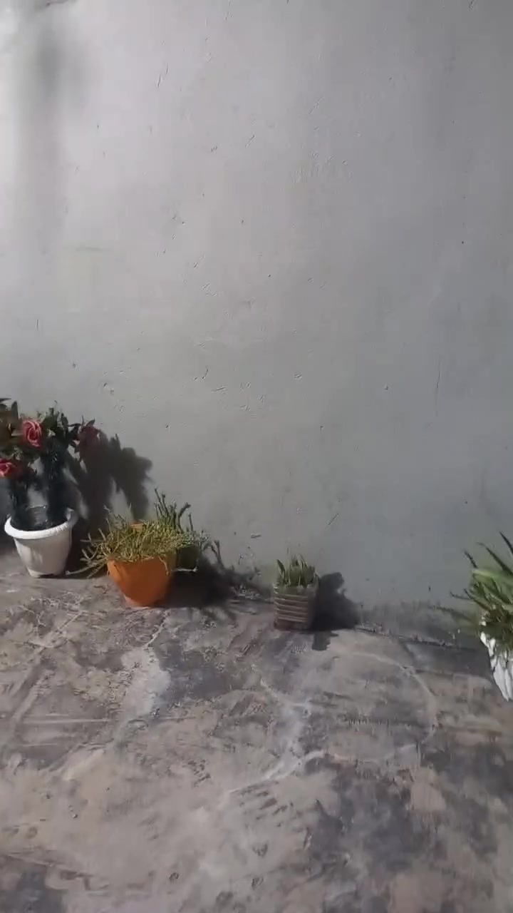 بيت بل تجاوز لليجار ٣٠٠ قفل نضيف كبال البيوت الملك عل شارع عام شارع الزيتون


**إذا كنت صاحب هذا الإعلان وتريد حذفه لأي سبب، رجاءا أرسل رسالة إلى الدعم الفني**