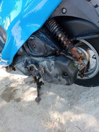 دراجة فراشة • كفالة • طويريج