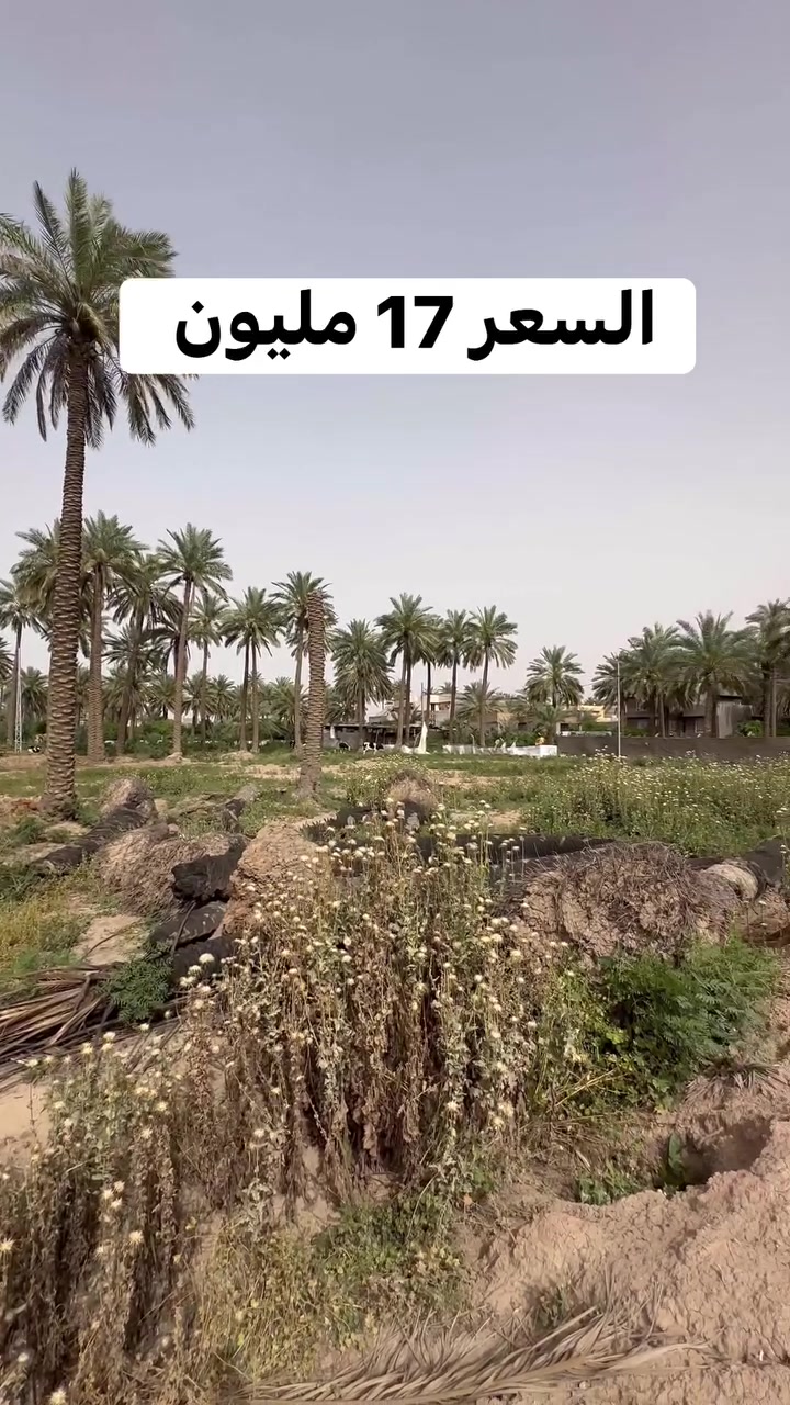 توجد قطعة ارض للبيع في منطقة البوعبدي
 طابو زراعي المساحة 260 متر مربع للاستفسار الاتصال على رقم المكتب ***********
#عقارات
#ديالى
#explorepage
