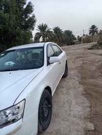 سوناتا • مصبوغه • بابل