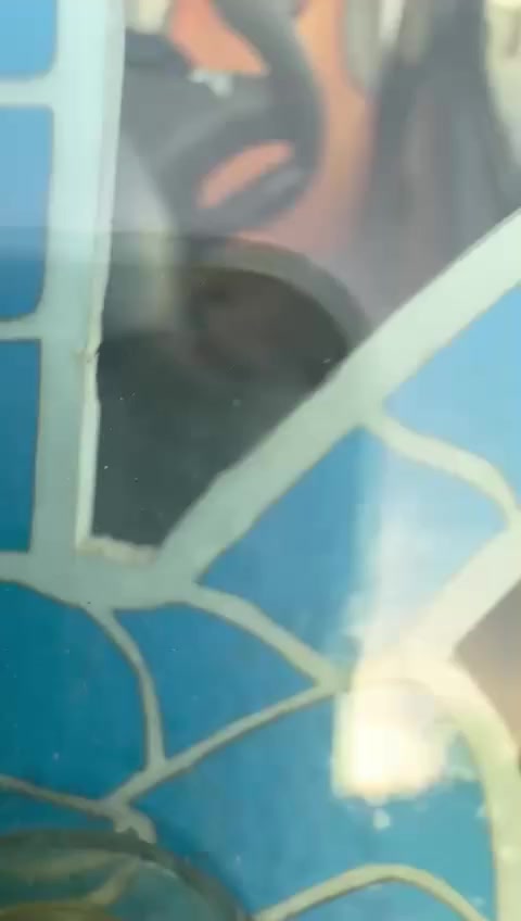 سلام عليكم جنبي موصليه البيع بسم موطن سياره جاهزه تخم تاير حداديه مكينه اكسن كير  كفاله مو شراي لا يتصل بدون اغراض السياره المكان ناصريه مركز الاتصال على الرقم *********** أو ***********
