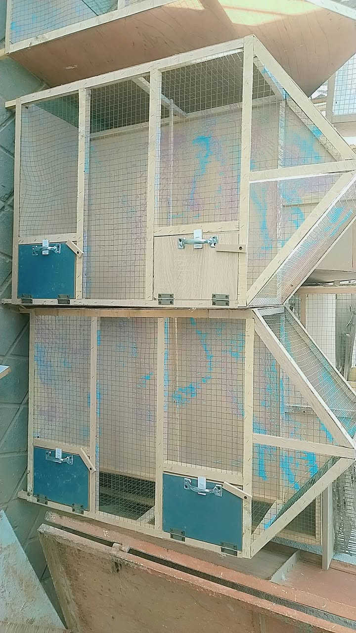 سعر 25الف ***********
