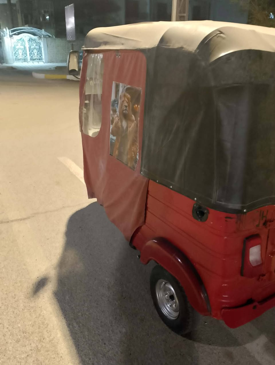 تكتك باجاج لبيع رقم موديل 19
شراي يتصل على الرقم ***********
