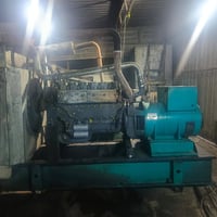 مولد شتاير • 12 أوربية • 300 ستافورد