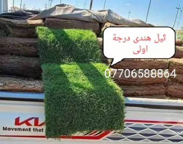 متابعينة الكرام //يتوفر جميع انواع الثيل من مزرعة  مشتل التاجي (ثيل هندي )(ثيل فرنسي )(ثيل ايطالي) بسعار مناسبه يوصلك الباب البيت مباشر من المزرعه فريش وريان للحجز والاستفسار
*********** يتوفر واتساب
*********** يتوفر واتساب
