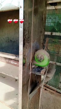 منقله للبيع بسعر مناسب جدا بغداد 07815751529