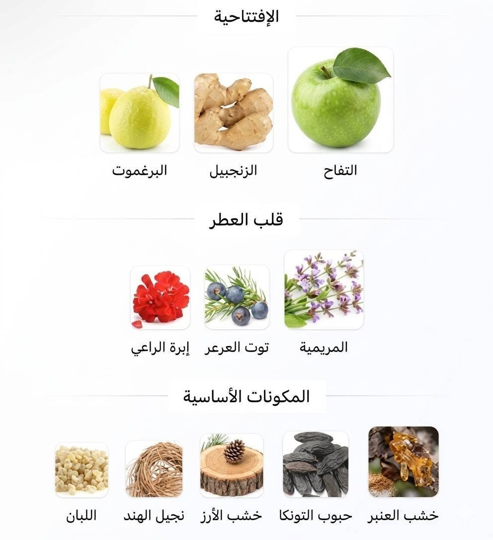 عطور مجموعة اجمل من شوكة سيفور سعر 🔥🔥
🤍 Ajmal الثائر
🍋 الإفتتاحية: حمضيات مشرقة ومنعشة
🌸 القلب: زهور بيضاء ولمسات تابليه ناعمة
🪵 القاعدة: باتشولي وأخشاب دافئة مع لمسة حلوة خفيفة
عطر أنيق بطابع نظيف ومنعش يناسب الاستخدام اليومي ويعطي إحساس فخم ومرتب ✨
✨ Ajmal الواثق
🍋 الإفتتاحية: حمضيات منعشة ولمسات فاكهية خفيفة
🌿 القلب: نوتات أروماتك وتوابل منعشة مع لمسة عشبية
🪵 القاعدة: أخشاب دافئة وعنبر ناعم
عطر صيفي منعش يجمع بين الانتعاش والثبات بأسلوب راقي 🌟
📍متوفر الآن لدى نوتات للعطور الأصلية ✨

عطور رجالية ونسائية فاخرة
تميّزك يبدأ من عطرك 
📍 النجف الأشرف | شارع الزهور
مجاور قاعة سلطانة.


**إذا كنت صاحب هذا الإعلان وتريد حذفه لأي سبب، رجاءا أرسل رسالة إلى الدعم الفني**