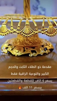 مقدمة • حجم كبير • طلاء ثابت