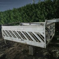 محجر • شعب • ٣٥٠م