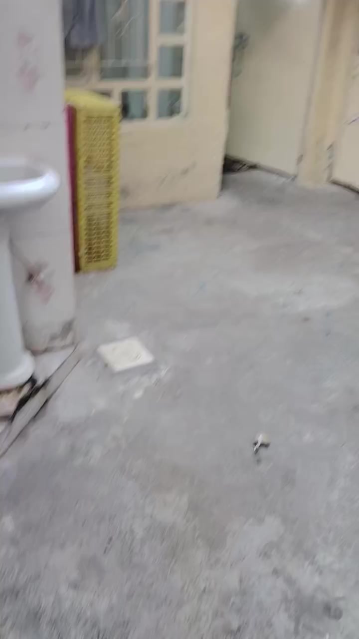 ***********  ***********
