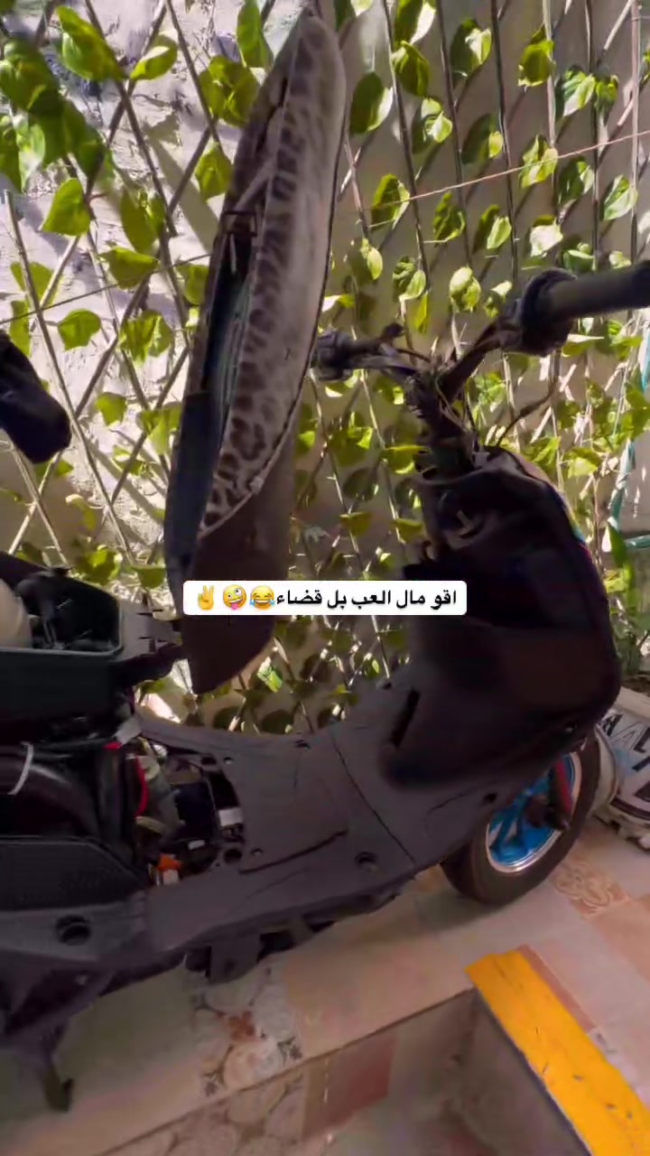 سلام عليكم شباب ماكس رياضي البيع دراجه اول فتحه اله المكينه 55دراجه شلعه ومعدل ١٢٠ المكان قضاء النعمانيه  السعر ٥٠٠وبيه مجال قليل  بس الكفر مبدله شاد أزرك


**إذا كنت صاحب هذا الإعلان وتريد حذفه لأي سبب، رجاءا أرسل رسالة إلى الدعم الفني**