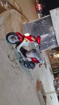 دراجة • أوراق كاملة • المدينة الصدر