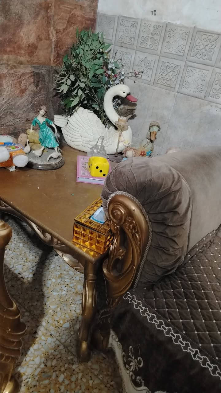 تخم ملكي تسع مقاعد كلش ثكيل وحطاطه السعر ٥٥٠ العنوان المنسيه


**إذا كنت صاحب هذا الإعلان وتريد حذفه لأي سبب، رجاءا أرسل رسالة إلى الدعم الفني**
