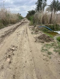 أرض زراعية • ٢ دونم • فرع عبيد السلطان