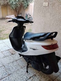 فراشة كرستال • فحل • بلادية