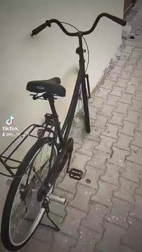 مراوس • بسكليت • مطلوب