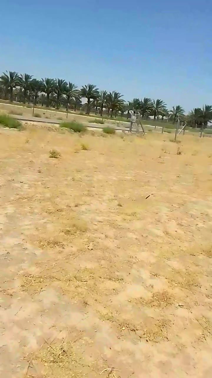 السلام عليكم قطعت ارض للبيع المساحه 500م قريبه كلش عله مزار العلويه شريفه ع خدمات متوفره سند 25 تحول مباشر للستفسار ***********
