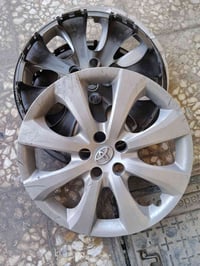 تخم كبات اصلي السعر 40الف /07721806161