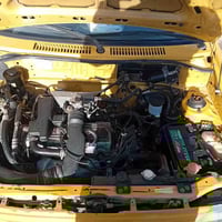 ٢٠١٥ • كفالة • طخة صغيرة