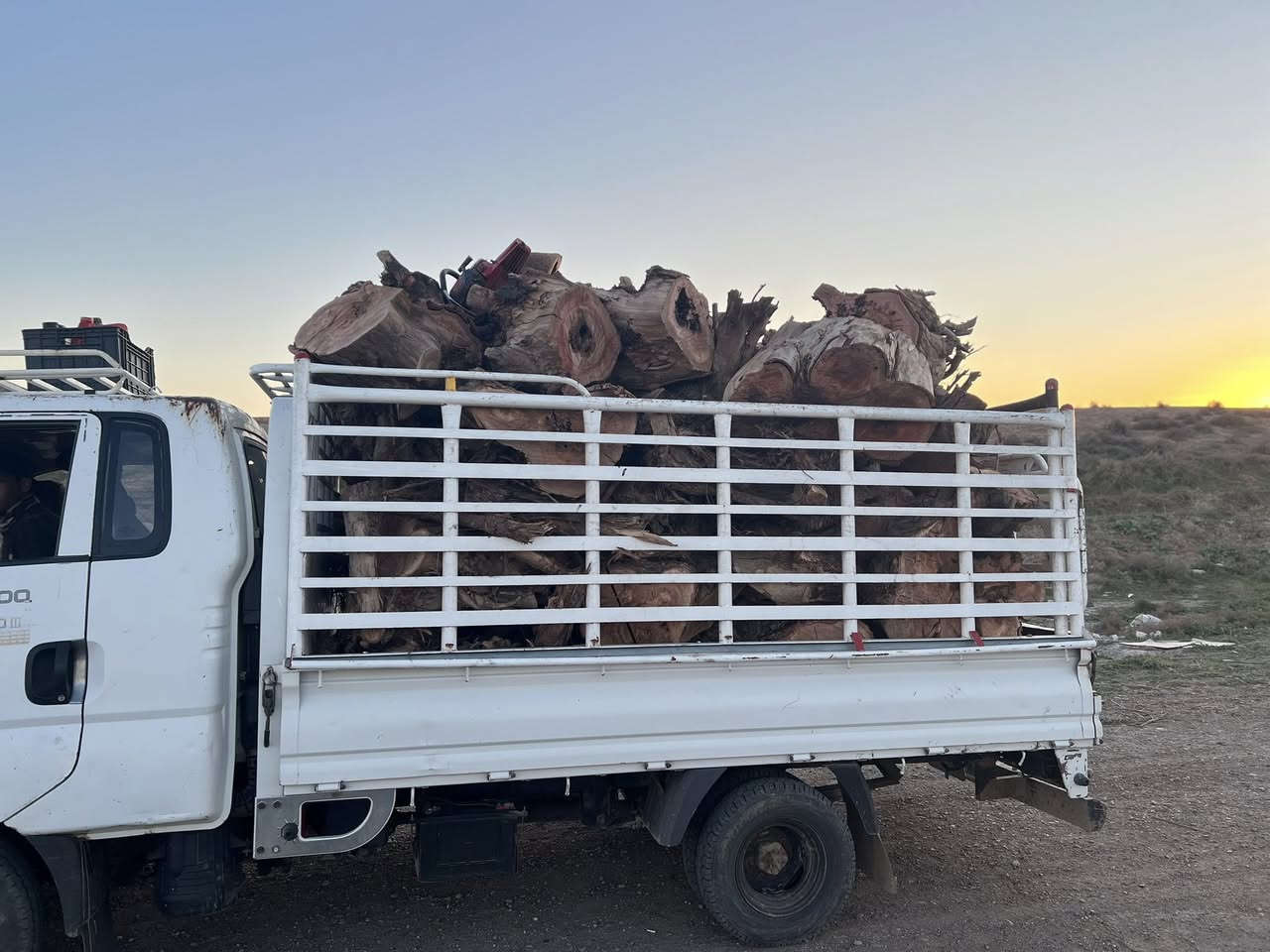 السلام عليكم
#ادمن وافق يرحم والديك الله يرزقك لان هذا رزقنا
الي عنده خشب للبيع فحم  اشتري مكصوص او ما  مكصوص اي نوعيه من الخشب نشتري قلنطوز توث غرب حمضيات شعندك ناخذ يابس او أخضر
 عندك اشجار اكبار بالحديقة هم اكصها ورتبها الك 
عندك بستان وتريد تكصه اي شي ما عليك بس تعلق او تتصل او تتفضل خاص اشتري بكميات 
للعلم اني اشتري وابيع والف هلاا
اني فحام وعلى باب الله وهذا رزقنا وإنشاء الله يرزق الجميع 
اخذ بسعر زين الي عنده ينزل التفاصيل المكان الرقم
***********
#اخذ_قلنطوز_بكميات_اخذ_جزرات_غرب_قلنطوز__تكي_اخذ_حويجة_مال_خشب٧
