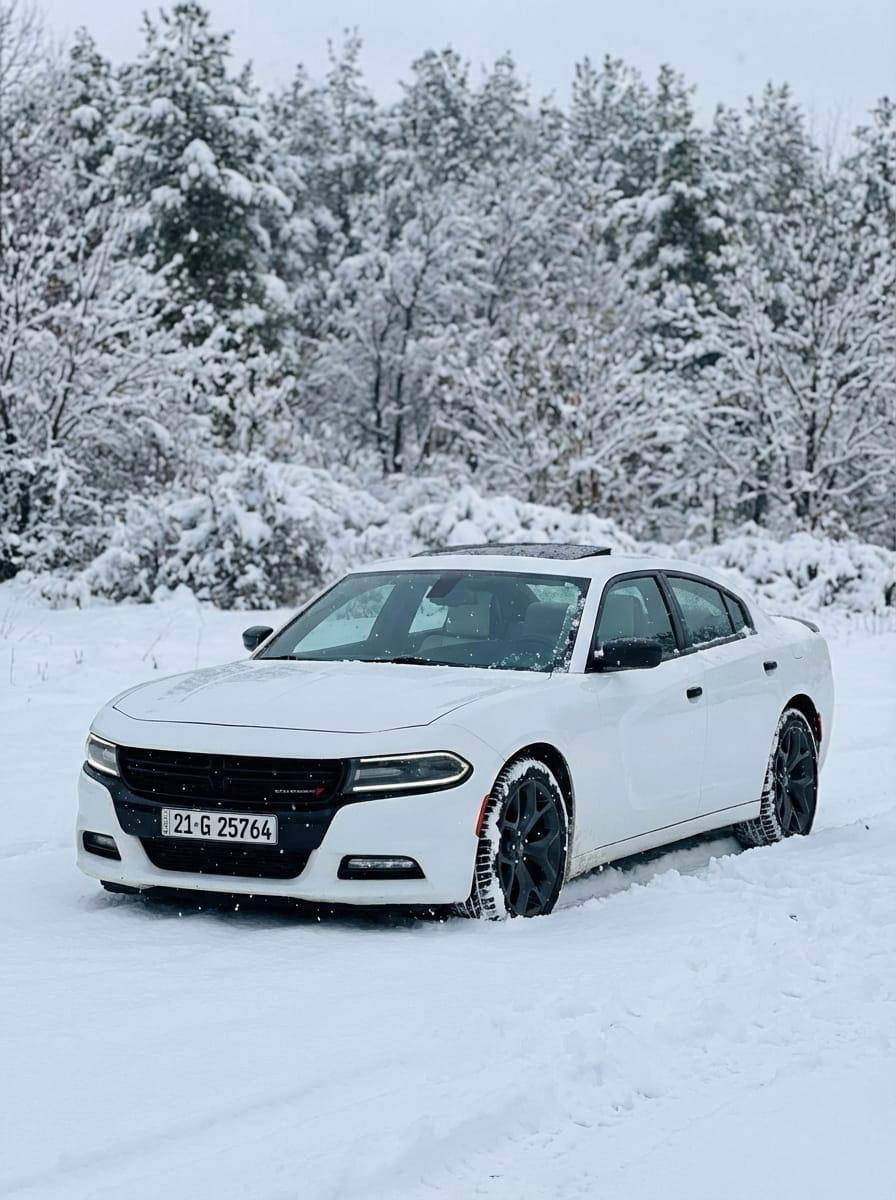 سلام عليكم جارجر رالي موديل 2017 مريكي رقم شمالي نكليزي بسمي فول مواصفات مكينه 3600 وكير ت على وضع شركه حادث جاملغ وبنيد فقط صور لحادث مرفقه  تخم تايرات جديده ماشيه 95 / سعر 178 وبيها مجال تواصل تصال ع ***********
