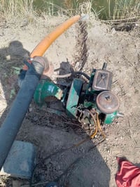 ماطور هندي • ٤/٤ • ديالى الخالص