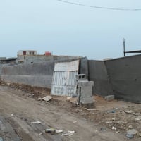 ال حمد شقق الزيتون • ٦٠٠م • طابو زراعي سند٢٥