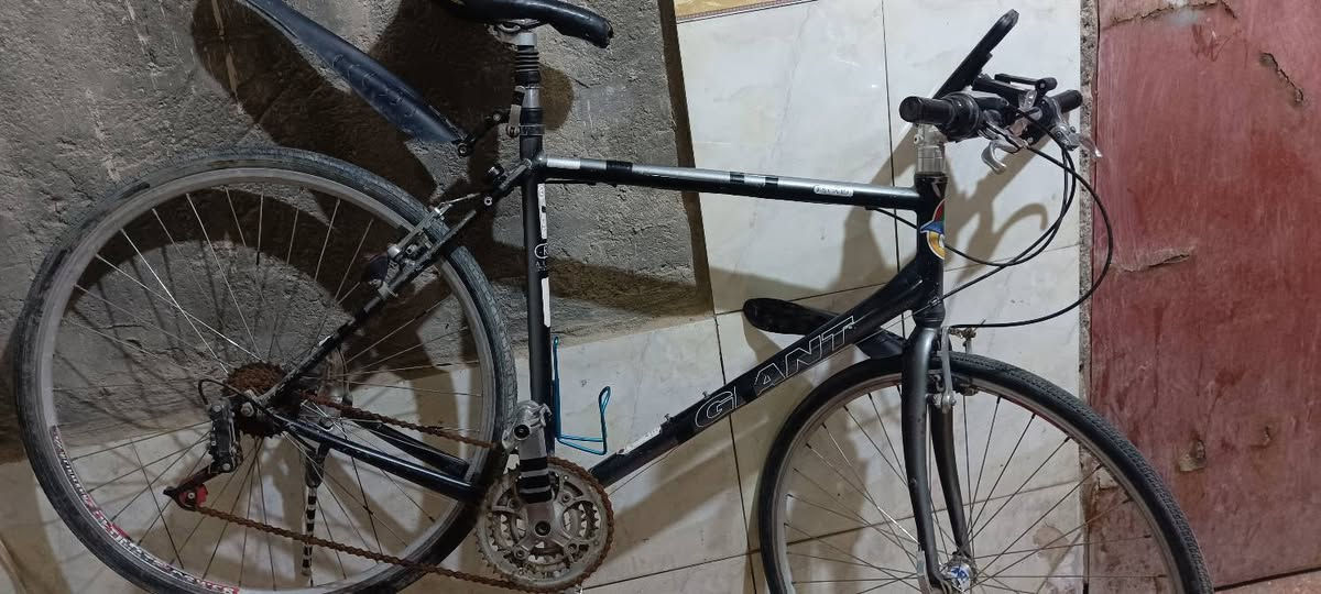 سلام عليكم بايسكل C700 حجم 26لو27ما اعرفه بالضبط وزنه خفيف كلش كلشي جاهز بس البداله عوزه تقسيم البايسكل يمشي كلشي ما بيه بعده نضيف عنوان ناصريه مركز السعر 100وبيه مجال أي سؤال تعال خاص


**إذا كنت صاحب هذا الإعلان وتريد حذفه لأي سبب، رجاءا أرسل رسالة إلى الدعم الفني**