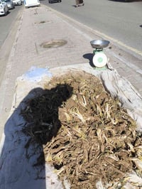 كعوب درجه اوله • يم علوه المخضر • مقابل الفواز