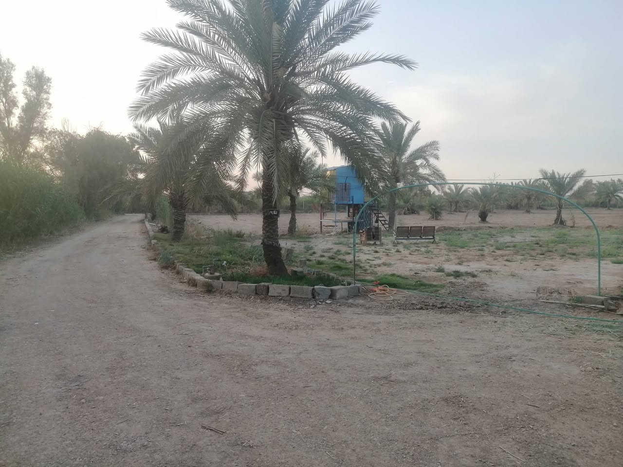 مزرعه 5 دونم سند 25 وجه الأرض 100م ونزال 125م تقع على بعد 2 كم عن قضاء العزيزيه قريبه جدا.. أرض خصبه جدا تحتوي على ٧٠ شجرة نخيل مثمره مع دار سكن وخدمات كامله من ماء وكهرباء ومشروع للسقي مبطن وتبعد عن الشارع العام ٧٠م للمعلومات الاتصال.. ***********
