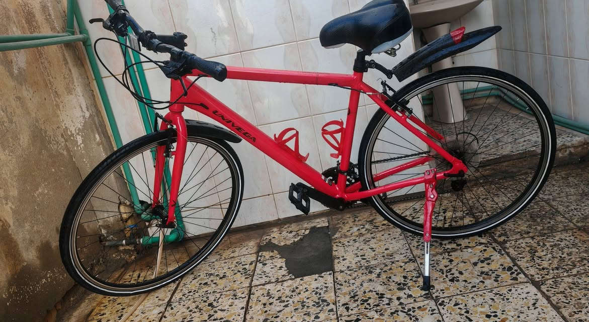 قطعه جديدة فريدة من نوعهه اقره للاخير رجائاً. 
السلام عليكم حبابينه، اخوكم من واسط،
هذه اسرع بايسكل c700 من بين كل البايسكلات الجربهه، قطعه تختلف عن البقيه بهاي الفئه و بكل ثقه اكدر اكول اسرع من بعض انواع بايسكلات الرود عن تجربة شخصيه. 
البايسكل مشتري جديد مو باله،

بايسكل (UNIVEGA MAXIMA FITNESS1.0)

من اسمه راح تعرفون انه بايسكل سرعه مخصص للرياضه maxima fitness
مواصفات البايسكل
بايسكل المنيوم بالكامل لكن وزنه قريب من وزن بعض انواع الرود، يكون اخف من اغلبيه بايسكلات ال c700
تايرات كيندا قياس 28
فريم M
سستم مايكروشفيت microshift بعدد سرعات 2x8
بريكات بروماكس promax

يجي ويا كميه ملحقات بحيث البايسكل الي يشتري ياخذه كامل مكمل كل نقص ما بي
الملحقات :
1 مطارتين لون احمر ويه لون البايسكل + ستاند مطاره لون احمر كذلك 
2 مقعد عادي
3 مقعد طبي جبير
4 جاملخات كبار
5 جاملخات زغار
6 ستاند احمر حديد ويه لون البايسكل
7 ستاند اسود
8 جنطه تتركب عل بايسكل
9 مثبت مال مبايل كلش قوي
10 قفل مال بايسكل
11 لايت خلفي
12 مثبت للهاتف بي لايت امامي
13 لايت امامي عباره عن بروجكتر مو لايت، حرفيا اكدر اكول بقوه اللايت مال دراجه
14 بم
15 النكي للتعديل 
16 جادر مال بايسكل من الشمس و المطر
17 واير شحن للايتات
18 ماسكات ستيرن رياضيه
حرفيا البايسكل تستلمه كلشي ما تعدل عليه غراضه كلهن جاهزه

اخر نقطه اكولهه، البايسكل ليش اشوفه مميز عن بقيه بايسكلات ال c700؟ السرعه مالته، حرفيا البايسكل مريح بالقياده و سريع ما شاء الله، بحيث اقوى سرعه وصلت الهه بهذه البايسكل هيه 48.7km/h عل كير الاخير و موجوده الصوره بالاخير تضهرلكم الارقام، الي كاعدين بالكوت راح يعرفون انو هذه الطريق مستقيم بدون نزول جسر، كل هذه و وزني 95kg، يعني اذا وزنك اقل ال 90 تمشي بي اسرع، 
ك بايسكل c700 يوصل هيج سرعه على هيج وزن؟ عن تجربه شخصيه اكول هنياله الي ياخذ هيج بايسكل،
لان بصراحه هيج سرعات صعبه حتى على دراجات الرود، 
اكو تفاصيل اكثر عن البايسكل للي يحب يراسلني،
مثل ما كلت البايسكل مشتري ((((جديد)))) و ليس باله، راح يصيرله شهرين تقريبا، لحد الان ما واجهت بي اي مشكله، لحد الان البايسكل ما طايح عل كاع اصلا، ولا صاير عندي بنجر و على نفس النفخه مال تايرات من اول ما جبته لهسه، و بالشوارع الوعره و الحصو و الرصيف يمشي طبيعي و عل تبليط سريع، و ويا كميه ملحقات تخلي البايسكل بدون اي نواقص او تعديلات، نضافه البايسكل اكدر اكول اكو بس شخط زغير يم الستاند ما اعرف منين اجه و هوه مو واضح اصلا، بس المهم البايسكل بالواقع احلى بهواي من الصور. 

السعر راح يكون 250 الف و بي مجال خفيف
للامانه البايسكل يستاهل اكثر، يفضل تشوف المنشور كامل و اي استفسار اني بخدمتكم، نصيحه من اخ و عن تجربه شخصيه، القطعه ما تتفوت و هنياله الي يحصله.

مكاني واسط الكوت
تتواصل وياي عل فيس
او عل واتساب ***********
او على رقمي الشخصي ***********
و بخدمتكم.
