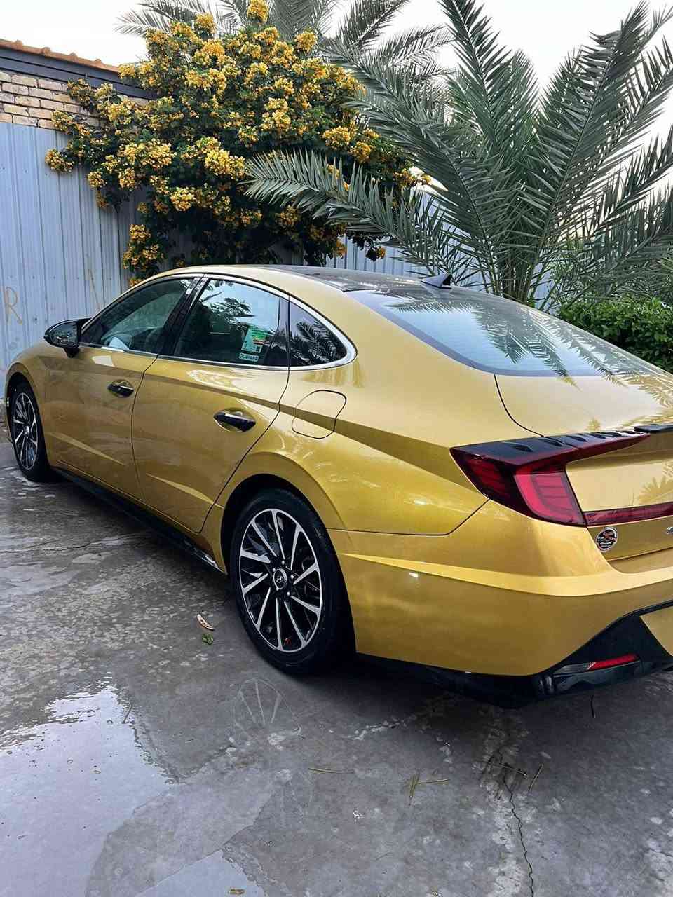 سوناتا 2020 رقم بغداد باسمي 

سيارة فووول عدا الفتحه ماشيه 65 ميل

ضرر فقط بنيد سطحي بدون ارباك حتي الراديتر بلادي  

سيارة كلش نظيفة من فضل الله

***********
