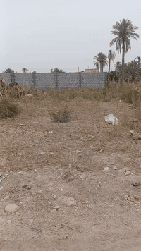 السلام عليكم نص دونم طابو اسهم تحويل مباشر بسم المشتري النص بسمي شخصين ١٢٥٠علئ طريق السفينه خلف ثانويت متوفر كافت الخدمات ماء كهرباء وبوري ماي باب البستان مسيج باقي بيه ضلعين ويكمل ***********
