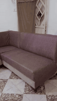 تخم ديوان للبيع نضيف 7نفرات السعر 135 نجف *********** واتساب اكو توصيل بلكروه نجف *********** نجف اكو توصيل بلكروه نجف
